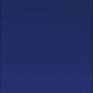 Meet your Posher, Monique